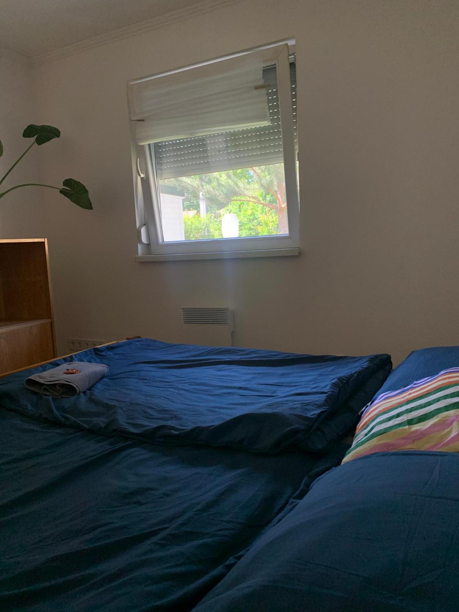 Vila Marika Vendeghaz Szigetmonostor Exteriér fotografie